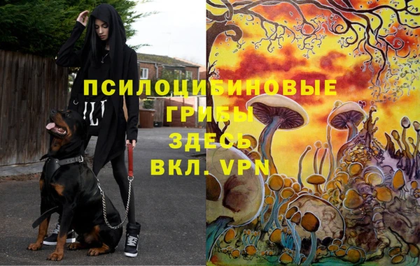 наркотики Аркадак