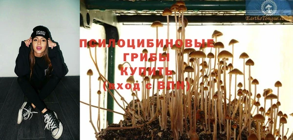 спиды Армянск