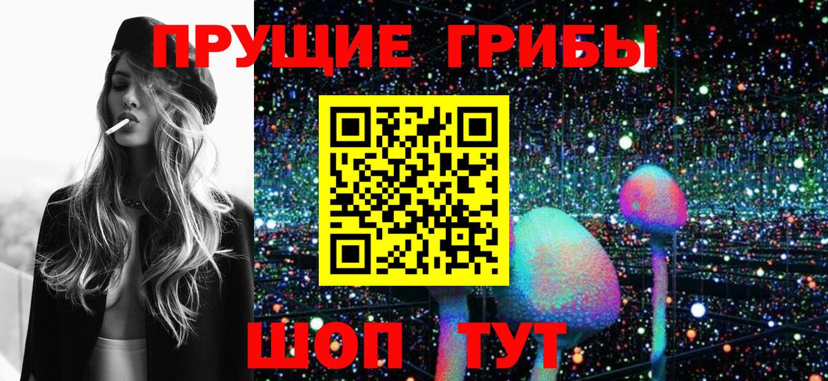 Псилоцибиновые грибы Psilocybe  Псилоцибиновые грибы Cubensis  Вход с VPN  Волхов 